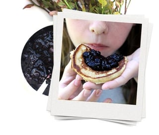 patches with blueberry lapper med blabar